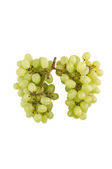 Isolate is a bunch of grapes in the form of lungs on a white background.
