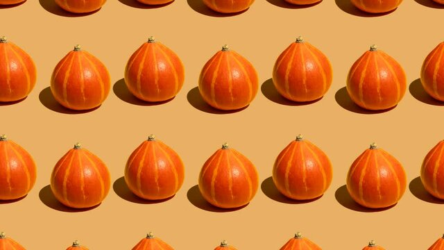 Stop motion animation Lots of ripe autumn orange pumpkins for Thanksgiving and Halloween move along a line up and down on a brown background. Seamless video