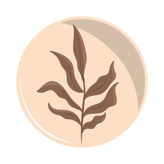 branch foliage botanical