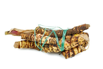 Fototapeta premium Fresh Acorus calamus (also called sweet flag or calamus) roots isolated on white background