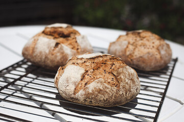 natural french bread