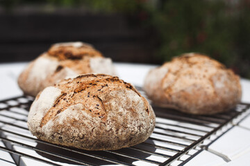 Natural french bread