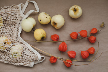 autumn still life with apples and orange flowers of physalis