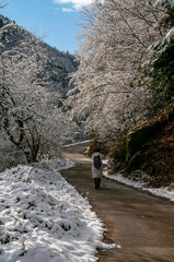 Winter scenery in Çamlıhemşin in Rize 