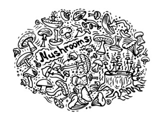 Vector illustration. A set of simple doodle mushrooms of different types (honey agarics, toadstools, porcini mushrooms, chanterelles). Coloring book for children theme of autumn.