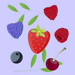 Set single berries: cherry,  strawberry,  raspberry,    blueberry,   blackberry.