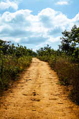trails in Serra do Cipó, State of Minas Gerais, Brazil