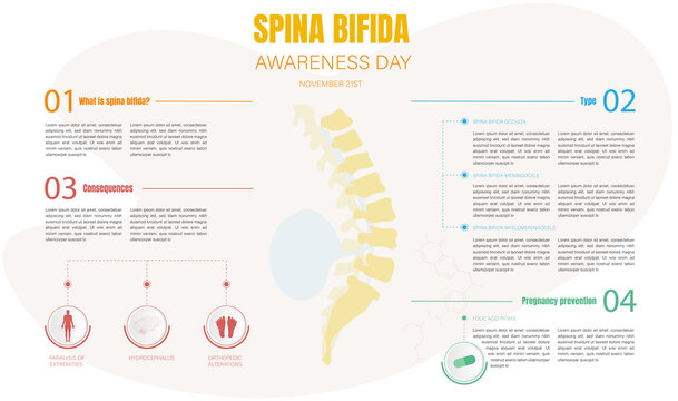 Infographics for the international day of spina bifida,what is spina bifida,types of spina bifida,consequences and prevention in pregnancy.
