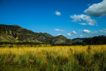 landscapes of Serra do Cipó, State of Minas Gerais, Brazil