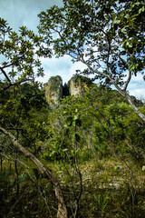 landscapes of Serra do Cipó, State of Minas Gerais, Brazil