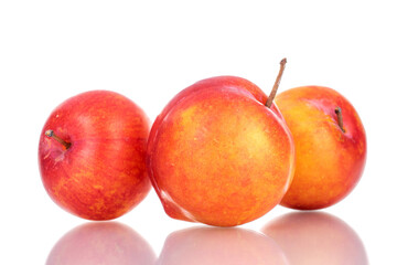 Three juicy organic yellow-red plums , close-up, isolated on white.
