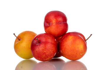 Several juicy organic yellow-red plums , close-up, isolated on white.
