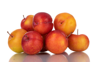 Several juicy organic yellow-red plums , close-up, isolated on white.