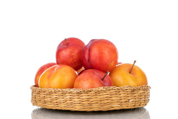 Several juicy organic yellow-red plums on a straw plate, close-up, isolated on white.