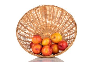 Several juicy organic yellow-red plums in a straw bowl, close-up, isolated on white.