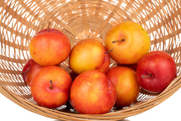 Several juicy organic yellow-red plums in a straw bowl, close-up, isolated on white.