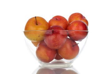 Several juicy organic yellow-red plums in a glass bowl, close-up, isolated on white.