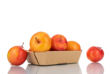 Several juicy organic yellow-red plums with paper dishes, close-up, isolated on white.