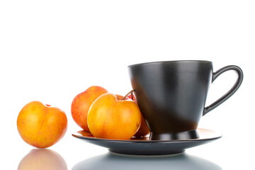 Several juicy organic yellow-red plums on a saucer with a black cup, close-up, isolated on white.