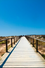 Fototapeta na wymiar Turistas caminando por una pasarela de madera entre las dunas de la playa de Aveiro