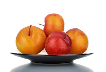 Several juicy organic yellow-red plums on a saucer, close-up, isolated on white.