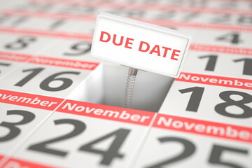 DUE DATE sign on November 17 in a calendar, 3d rendering
