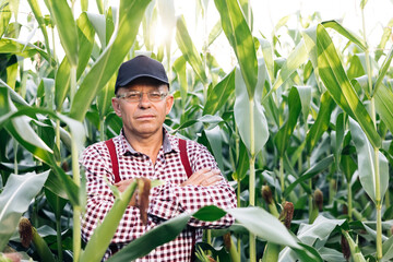 Portrait of the thoughtful senior male farmer looks at camera. Senior Farmer smiling. Close up of the Caucasian good looking man smiling to the camera