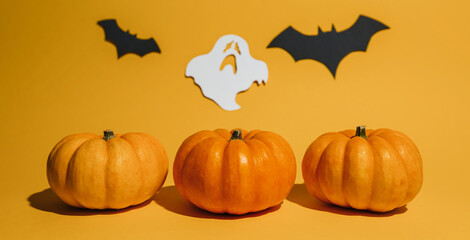 Fresh ripe pumpkin on orange background. Space with bats and ghost Halloween concept