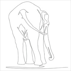Continuous one line drawing of elephant, Vector illustration line art.