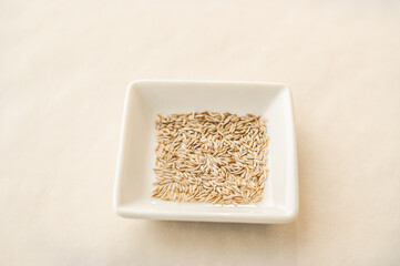 チマサンチェの種