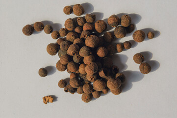 Black allspice or pimento corns isolated