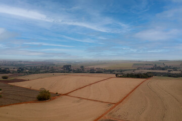 newly planted cane fields viewed from above - drone view