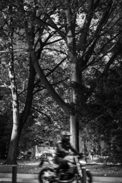 Motorradfahrer in Bewegung vor Park in Schwarz/Weiss