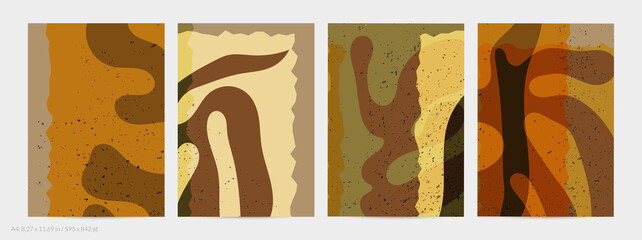 B22_2811 © Zebra Finch