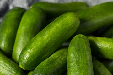 Raw Green Organic Mini Cucumbers