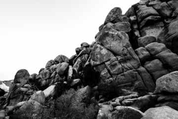 Joshua Tree National Park