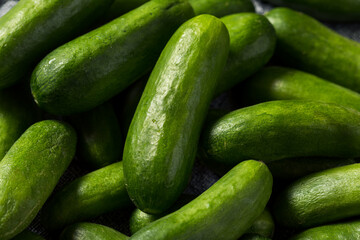 Raw Green Organic Mini Cucumbers