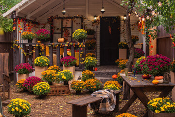 Autumn concept with chrysanthemums and pumpkins outdoor

