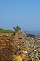 Loji beach landscape with clear blue sky, rocky beach, and coconut tree in the morning.