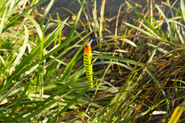 artificial bait for catching predatory fish