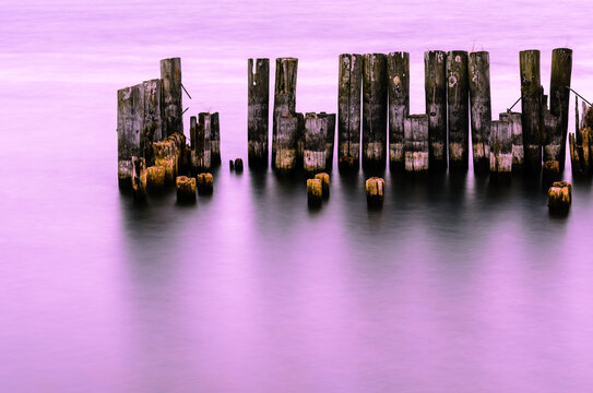 Section of old pier posts (groins) in smooth morning water of the St. Lawrence River