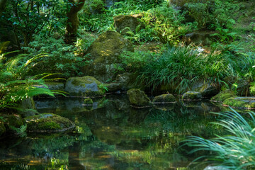 Japanese Garden Rocks Waterfall Pond Landscape