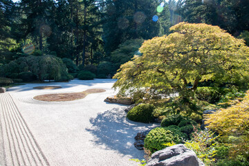 Japanese Garden Rocks Waterfall Pond Landscape