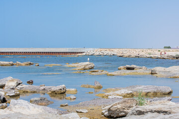 seagulls on the rocky shore of the Caspian sea in Aktau