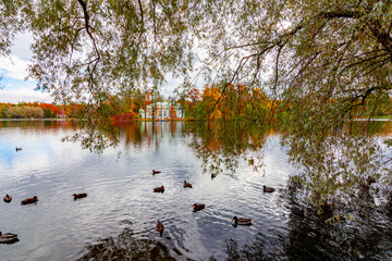 Grand pond of Catherine park in autumn, Pushkin (Tsarskoe Selo), Saint Petersburg, Russia