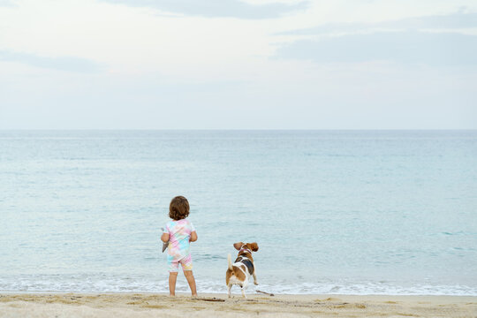 toddler kid baby girl and cute beagle dog looking to the on sea. Sea shore. High quality photo