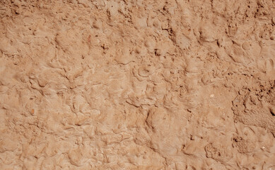 Abstract background from rough plaster on the wall.