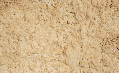 Abstract background from rough plaster on the wall.