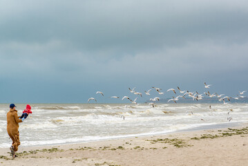 Sea seagulls father son