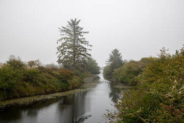 Fototapeta na wymiar Misty Morning River Woods Landscape 
